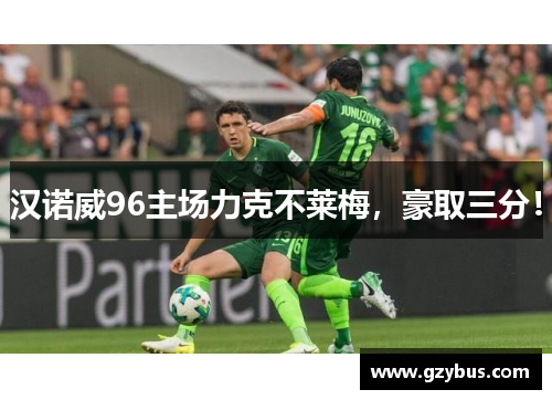 汉诺威96主场力克不莱梅，豪取三分！
