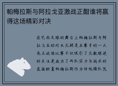 帕梅拉斯与阿拉戈亚激战正酣谁将赢得这场精彩对决